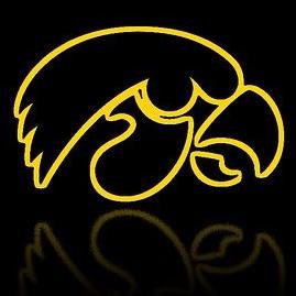 football hawkeye hawk