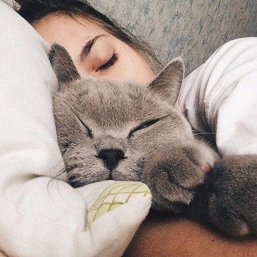 опустошенное тело
#Взаимный #FollowBack #ЧитаюВзаимно #взаимнофолловлю