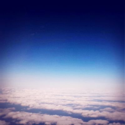 いよかん(だと思う)さんのプロフィール画像