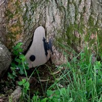 Sensoka (@sensokasucks) 's Twitter Profile