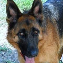 stvbramley's profile picture. Retired from Government