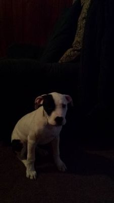 PerlaMa26124859's profile picture. 