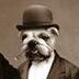 BullyMarketing's profile picture. Twitter Marketing Buff, Entrepreneur, World Traveler, Adventurist & a pretty nice guy!