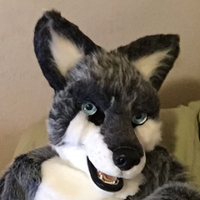 Coldfur (@alexcoldfur) 's Twitter Profile