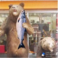 ☆☆さーもん☆☆ (@1979_b_u_m_p) 's Twitter Profile