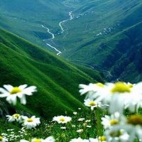 سامي نور (@same26k) 's Twitter Profile