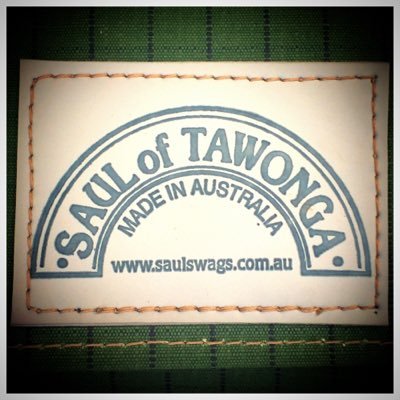 SaulSwags's profile picture. 