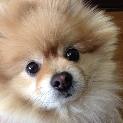 yklt2728's profile picture. スポーツ、アニメが好き。