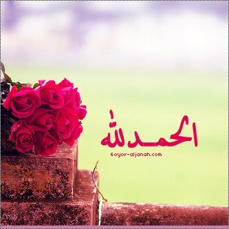 nnsnn442's profile picture. 