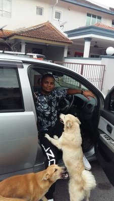 galusanjajames's profile picture. 