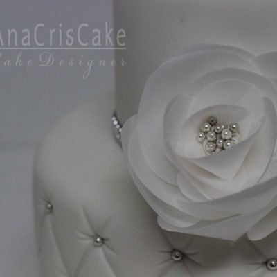 Anacriscake's profile picture. Bolos decorados que farão sua celebração diferente, especial e cheia de encanto... a imaginação é o limite ao transformar a sua ideia em doce!!