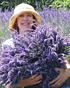 TheLavenderLady's profile picture. Live in Hood River with my soulmate, photography, creating, outdoors, gardening, flowers, baking Bread. Grow 10,000+ lavender plants-3 farms Organic!
