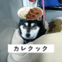 大根(@d_nerima) 's Twitter Profile Photo