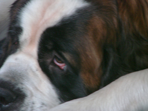 markusknaepper's profile picture. Markus Knäpper