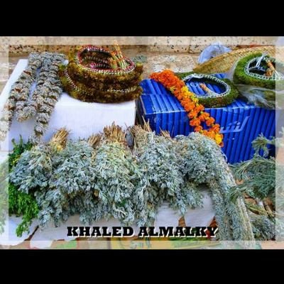 wjanyhy26's profile picture. 