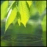 Юлианна Прохорова (@yakovlevaarmin2) 's Twitter Profile