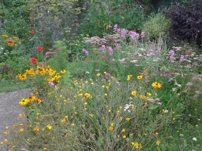 Bridgetmcs's profile picture. Dont worry be happy, green lifestyle, leftie, ♥