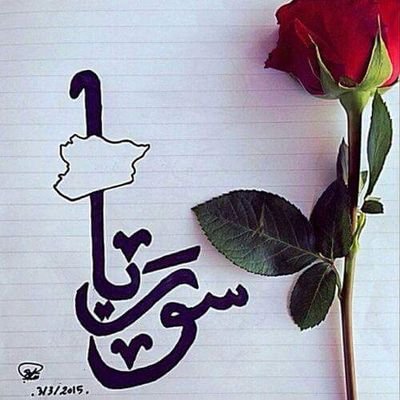 shosho_ossama's profile picture. 