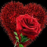 الحساس المرهف (@soma22fk) 's Twitter Profile