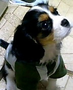 amekurichann's profile picture. moumoon 月面基地隊員三重駐屯地所属 ｡(´・ｪﾉ|柱|picnic vol.5参加＆OFUTARISAMA 名古屋大阪参戦(∩´∀｀)∩ﾜｰｲ 東京落選:( °ω°`:):→一般抽選落ち_:('Θ' 」 ∠):_ﾌﾟﾙﾌﾟﾙﾌﾟﾙ→追加公演当選(∩´∀｀)∩ﾜｰｲ NEWMOON大阪名古屋埼玉参戦