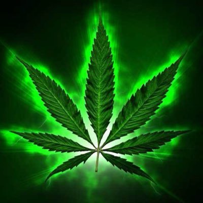 brigadeAntiSex's profile picture. 