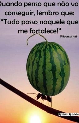 SilvanaVieiraS5's profile picture. 