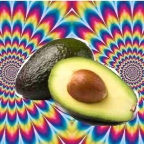 avocadofact Profile Picture