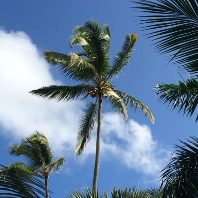 Azamatic870's profile picture. 