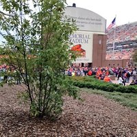DavidRShelton (@dshelton66) 's Twitter Profile