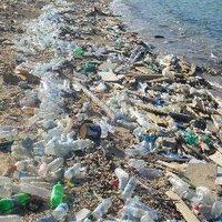 Savetheplasticplanet(@SaveThePPlanet) 's Twitter Profile Photo