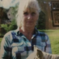 Patsy Bartlett - @patsybartlett58 Twitter Profile Photo