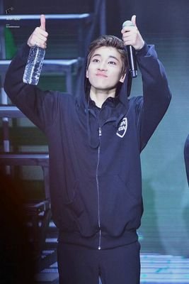 seventeen hip hop team jeon wonwoo.