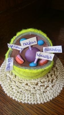 handstand100's profile picture. Part time jabberwockey handler, graduate of cognitive and decision sciences.