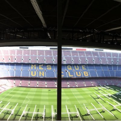 T_I_BO's profile picture. 