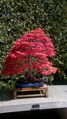 ProductoCrisavi's profile picture. 