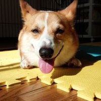 舞 (@mstitch) 's Twitter Profile
