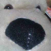 西条のsnow (@saijo_snow) 's Twitter Profile