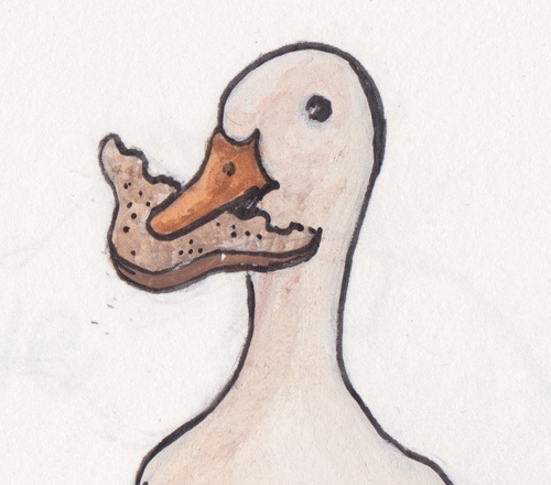 BreadandGoose's profile picture. We create imaginative and thought-provoking theatre in non-traditional spaces. Touring Lost in the Neuron Forest in 2014, an interactive exploration of memory.