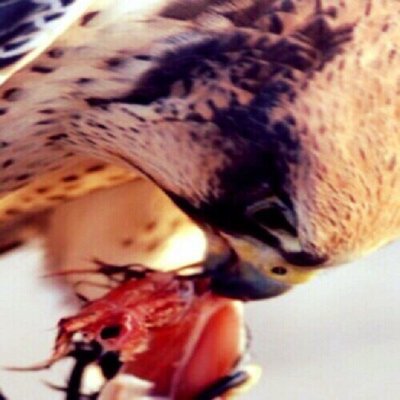 مدوّن تقني سابق..
تعبت من الشخبطة على جدران النّت
ونويت أرتاح
طويت الصّميل وقلت..
انتهينا انتهينا..
لايجد حلاوة الآخرة
رجلٌ أحب أن يعرفه الناس