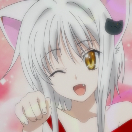 High School DxD - Koneko Toujou  Highschool dxd, Dxd, High school