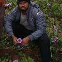 Sushanta Roy (@5839ffdd4b4f487) Twitter