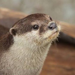 hoshi_kanata_y's profile picture. pharmacist aquarium 105回