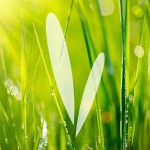 Hier twittert die Redaktion von MEINE VITALITÄT, dem Magazin mit zahlreichen Informationen und #Tipps für einen #vitalen und #gesunden #Lebensstil.
