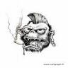 gremlins72's profile picture. chef de cuisine