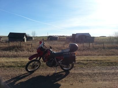 HellhoundBH's profile picture. Pizza Expert