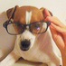 hirolin (@zarazaraskin) Twitter profile photo hirolin (@zarazaraskin) Twitter profile photo