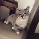 Re - @Re_steven - Twitter