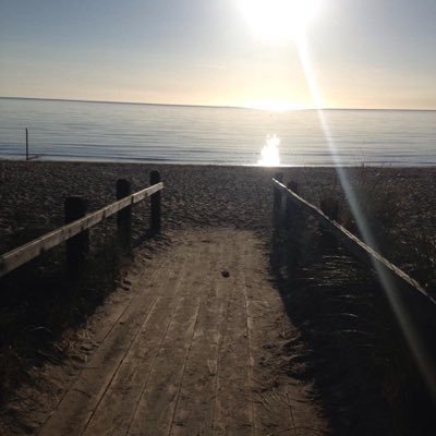 coddmolly's profile picture. .