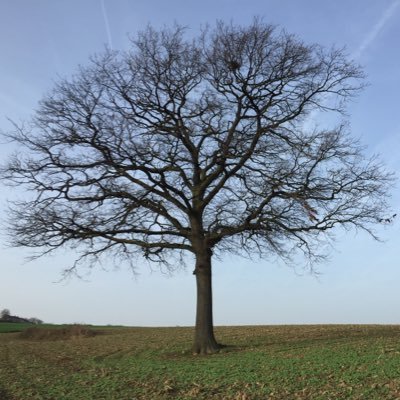 threeof4's profile picture. 