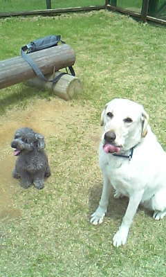 ematica_platz's profile picture. ■音ゲー全般 ■MH関係 HN:namelessです。■ｶﾞﾝﾀﾞﾑ。特にOOとUC。 ■ガンプラ ■鉄道■鉄道模型 ■茨城在住で構ってくれるとありがたいです。 最近ROM専となっておりますが、気ままに返します…